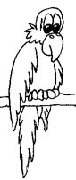 WTCHBIRD.BMP