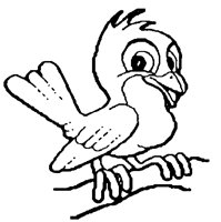 VOGEL1.BMP