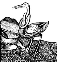 STORK6K4.BMP