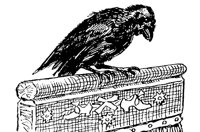 RAVEN3D7.BMP
