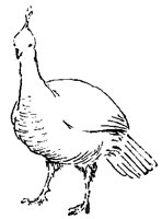PHEAS6Q4.BMP