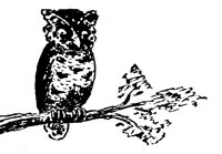 OWL_3D6.BMP