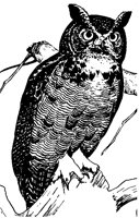 OWL_205.BMP
