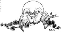 OWLS_B81.BMP