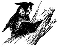 OWLE43.BMP