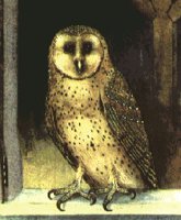 OWL09.BMP