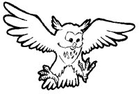 OWL08.BMP