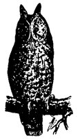 OWL07.BMP