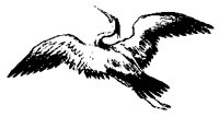 OIVAAR.BMP