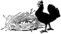 NESTDX9.BMP