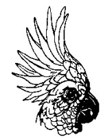 KAKETOE.BMP