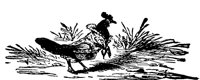 HEN_3E3.BMP
