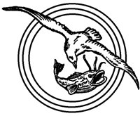 GULLF26.BMP