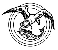 GULLF25.BMP