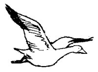 GOOSE03.BMP