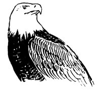 EAGLE271.BMP