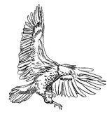 EAG05.BMP
