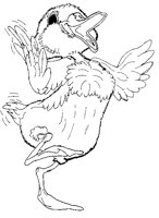 DUCK06.BMP