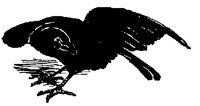 CROWF98.BMP