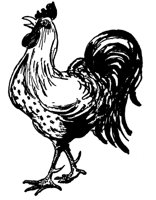 COCKDU2.BMP