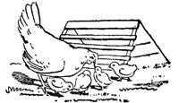 CHICK8K3.BMP
