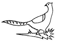 BIRD_7N7.BMP