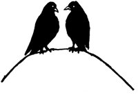 BIRDSDV9.BMP
