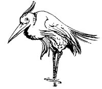 BIRDF94.BMP