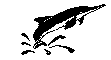 DOLPHIN.BMP