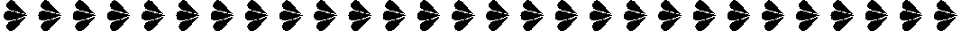 SHELL.BMP