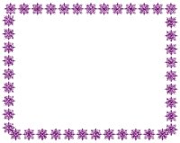 PURPFLAK.BMP