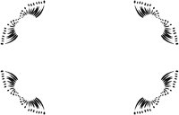 MOTH.BMP