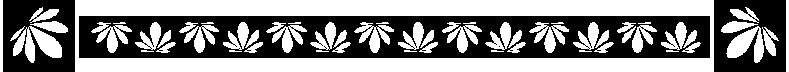 LOTUS.BMP