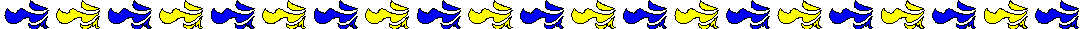BORDER5.BMP