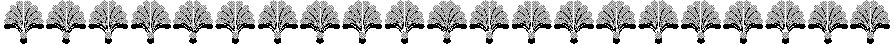 BORD500.BMP