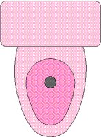 PNKTOILT.BMP