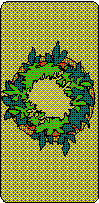 PLANTER2.BMP