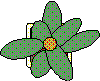 OUTPLANT.BMP