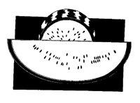 WTRMELON.BMP