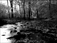 STREAM.BMP