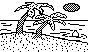 ISLAND.BMP