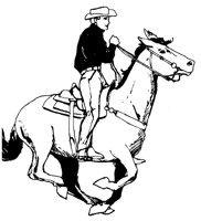 HORSE.BMP