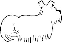 YORKIE.BMP
