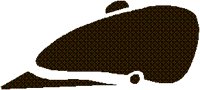 RIDNGCAP.BMP