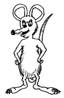 RAT.BMP