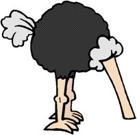 OSTRICH.BMP