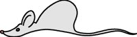 MOUSE2.BMP