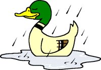 MALLARD.BMP
