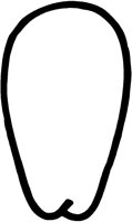 LONGFACE.BMP