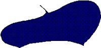 BERET.BMP